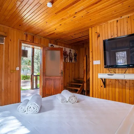 Olive Tree Hotel